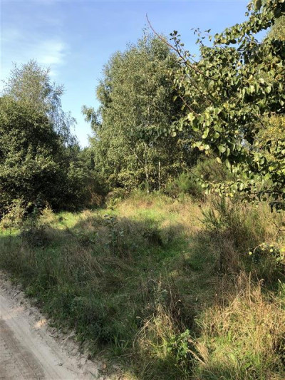 Grunt rolny Gmina Łęczyce - Wysokie  -
Pomorskie Zdjęcie nr 4