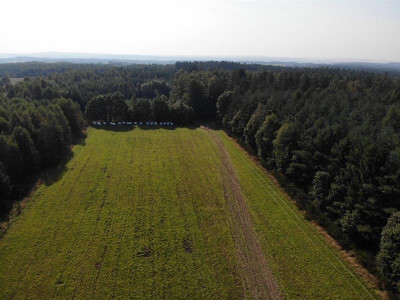 Grunt rolny Gmina Łęczyce - Wysokie  -
Pomorskie Zdjęcie nr 5