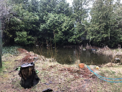 Działki budowlane w Gdyni Karwiny - Gdynia Karwiny  -
Pomorskie Zdjęcie nr 8