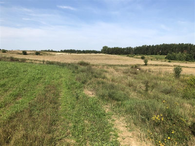 Działka Pierwoszyno zabudowa mieszkaniowa - Pierwoszyno   -
Pomorskie Zdjęcie nr 5