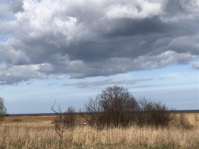 Działki Rolne nad morzem - Mechelinki   -
Pomorskie Zdjęcie nr 3