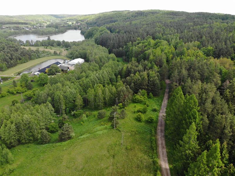 11 ha KLONOWO DOLNE -Przywidz grunty - Przywidz   -
Pomorskie Zdjęcie nr 1