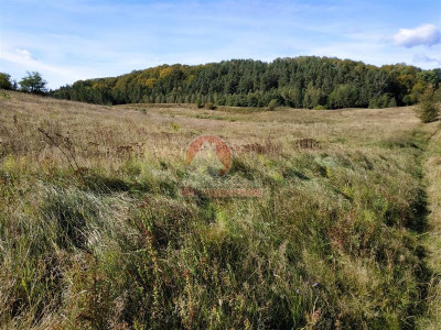 11 ha KLONOWO DOLNE -Przywidz grunty - Przywidz   -
Pomorskie Zdjęcie nr 10