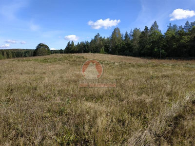 11 ha KLONOWO DOLNE -Przywidz grunty - Przywidz   -
Pomorskie Zdjęcie nr 11