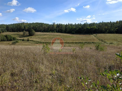 11 ha KLONOWO DOLNE -Przywidz grunty - Przywidz   -
Pomorskie Zdjęcie nr 13