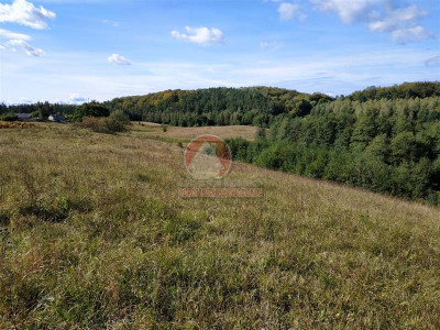 11 ha KLONOWO DOLNE -Przywidz grunty - Przywidz   -
Pomorskie Zdjęcie nr 14