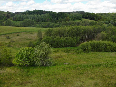 11 ha KLONOWO DOLNE -Przywidz grunty - Przywidz   -
Pomorskie Zdjęcie nr 3