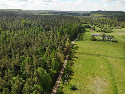 11 ha KLONOWO DOLNE -Przywidz grunty - Przywidz   -
Pomorskie Zdjęcie nr 5