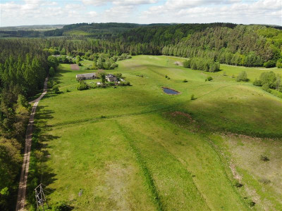 11 ha KLONOWO DOLNE -Przywidz grunty - Przywidz   -
Pomorskie Zdjęcie nr 6