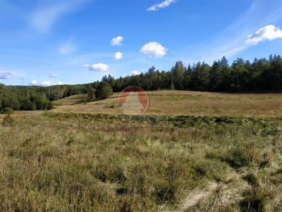 11 ha KLONOWO DOLNE -Przywidz grunty - Przywidz   -
Pomorskie Zdjęcie nr 7