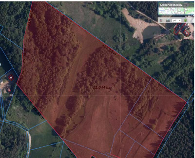 11 ha KLONOWO DOLNE -Przywidz grunty - Przywidz   -
Pomorskie Zdjęcie nr 8