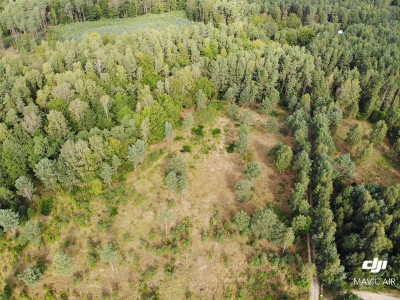Działka rolna Zbychowo - Zbychowo   -
Pomorskie Zdjęcie nr 2