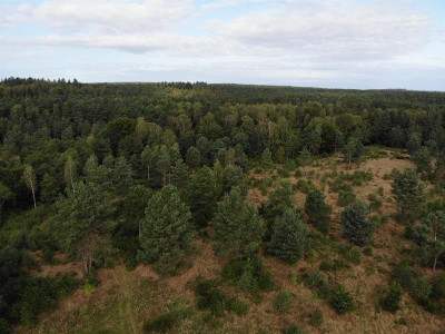 Działka rolna Zbychowo - Zbychowo   -
Pomorskie Zdjęcie nr 3