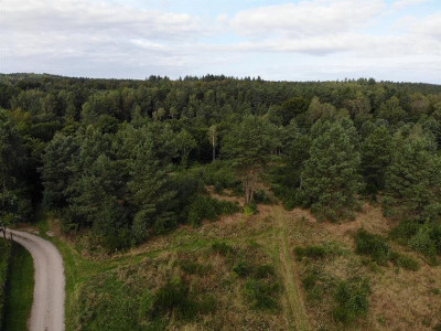 Działka rolna Zbychowo - Zbychowo   -
Pomorskie Zdjęcie nr 5