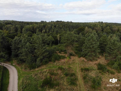 Działka rolna Zbychowo - Zbychowo   -
Pomorskie Zdjęcie nr 6