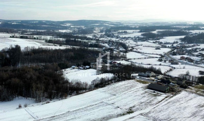 CENA W DÓŁ MALOWNICZA DZIAŁKA ROLNO-BUDOWLANA SZERZYNY 53AR - Szerzyny  -
małopolskie Zdjęcie nr 8