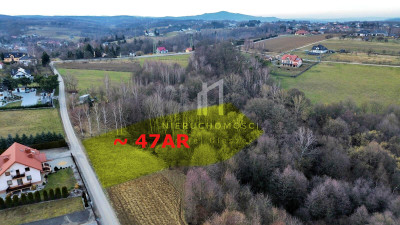 JESZCZE NIŻSZA CENA DZIAŁKA POD LASEM Z POTENCJAŁEM TRZCINICA GM JASŁO 47AR - Trzcinica  - podkarpackie