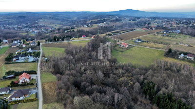 JESZCZE NIŻSZA CENA DZIAŁKA POD LASEM Z POTENCJAŁEM TRZCINICA GM JASŁO 47AR - Trzcinica  -
podkarpackie Zdjęcie nr 6