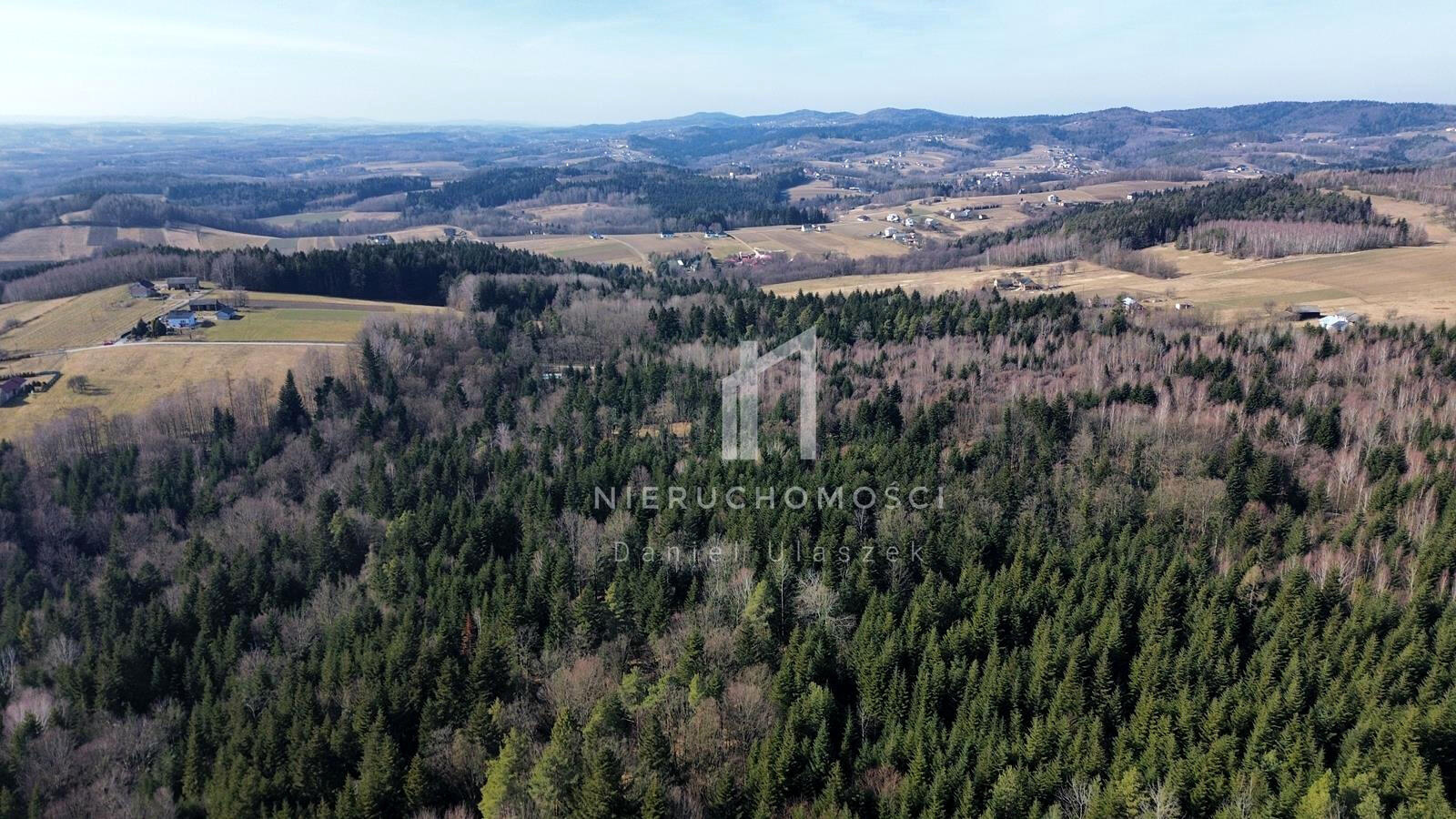 DUŻY LAS JODŁOWO-BUKOWY W SZERZYNACH 490HA - Szerzyny  -
małopolskie Zdjęcie nr 1