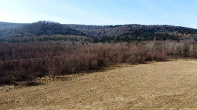 LAS OLCHOWY PIELGRZYMKA GM OSIEK JASIELSKI 165HA - Pielgrzymka  -
podkarpackie Zdjęcie nr 10