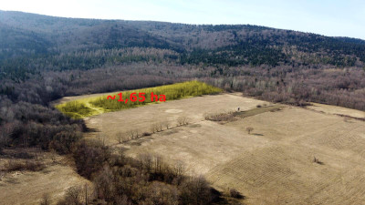 LAS OLCHOWY PIELGRZYMKA GM OSIEK JASIELSKI 165HA - Pielgrzymka  - podkarpackie