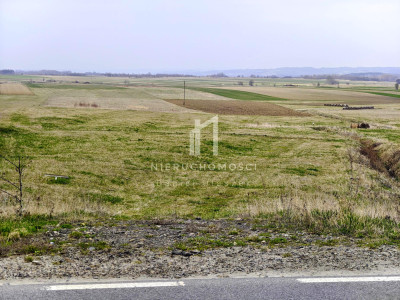 PRZESTRONNA DIAŁKA BUDOWLANA SAMOKLĘSKI GM OSIEK JASIELSKI 94 ARY - Samoklęski  -
podkarpackie Zdjęcie nr 9