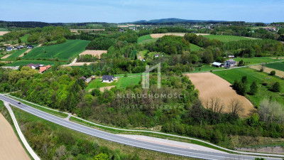 DZIAŁKA BUDOWLANA Z DROGĄ WEWNĘTRZNĄ SKOŁYSZYN POW JASIELSKI 44AR - Skołyszyn  -
podkarpackie Zdjęcie nr 7