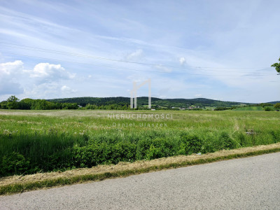 DZIAŁKA BUDOWLANO - ROLNA PAGORZYNA GM LIPINKI 60AR - Pagorzyna  -
małopolskie Zdjęcie nr 5