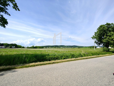 DZIAŁKA BUDOWLANO - ROLNA PAGORZYNA GM LIPINKI 60AR - Pagorzyna  -
małopolskie Zdjęcie nr 6