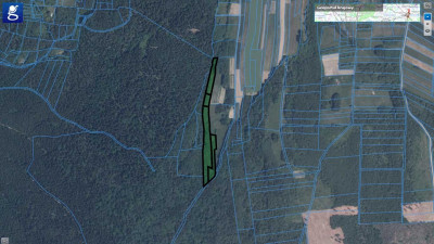 NIERUCHOMOŚĆ LEŚNA BEDNARKA GM LIPINKI 170HA - Bednarka  -
małopolskie Zdjęcie nr 4
