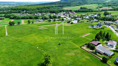 KOMPLEKS DZIAŁEK ROLNO - BUDOWLANYCH LIPINKI 73 AR - Lipinki  -
małopolskie Zdjęcie nr 6