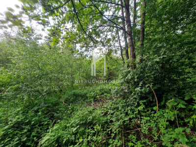 DZIAŁKA ROLNO-LEŚNA OPACIONKA GM BRZOSTEK 30AR - Opacionka  -
podkarpackie Zdjęcie nr 3