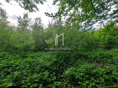 DZIAŁKA ROLNO-LEŚNA OPACIONKA GM BRZOSTEK 30AR - Opacionka  -
podkarpackie Zdjęcie nr 6