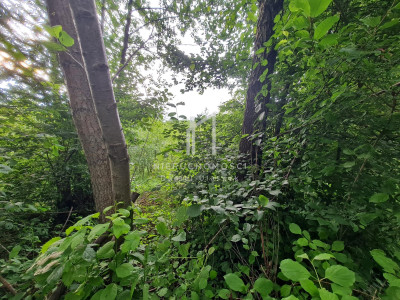 DZIAŁKA ROLNO-LEŚNA OPACIONKA GM BRZOSTEK 30AR - Opacionka  -
podkarpackie Zdjęcie nr 7