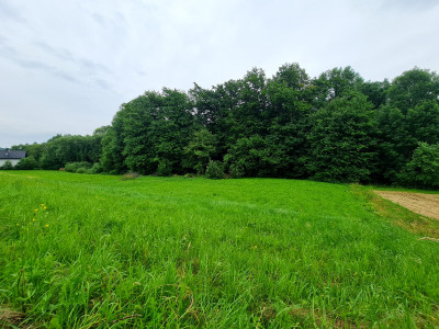 TAK TANIO JESZCZE NIE BYŁO DZIAŁKA W MIEJSCOWOŚCI NOWY GLINIK 22 AR - Nowy Glinik  -
podkarpackie Zdjęcie nr 3