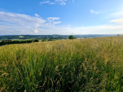 WIDOKOWA DZIAŁKA BUDOWLANA W SIEDLISKACH SŁAWĘCIŃSKICH GM SKOŁYSZY 27ar - Siedliska Sławęcińskie  -
podkarpackie Zdjęcie nr 12