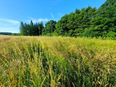 WIDOKOWA DZIAŁKA BUDOWLANA W SIEDLISKACH SŁAWĘCIŃSKICH GM SKOŁYSZY 27ar - Siedliska Sławęcińskie  -
podkarpackie Zdjęcie nr 13