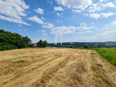 WIDOKOWA DZIAŁKA BUDOWLANA W SIEDLISKACH SŁAWĘCIŃSKICH GM SKOŁYSZY 27ar - Siedliska Sławęcińskie  - podkarpackie