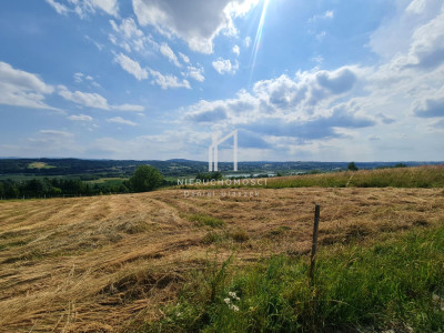 WIDOKOWA DZIAŁKA BUDOWLANA W SIEDLISKACH SŁAWĘCIŃSKICH GM SKOŁYSZY 27ar - Siedliska Sławęcińskie  -
podkarpackie Zdjęcie nr 3