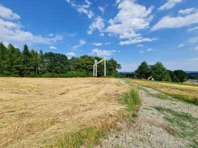 WIDOKOWA DZIAŁKA BUDOWLANA W SIEDLISKACH SŁAWĘCIŃSKICH GM SKOŁYSZY 27ar - Siedliska Sławęcińskie  -
podkarpackie Zdjęcie nr 4