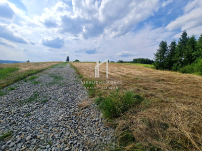 WIDOKOWA DZIAŁKA BUDOWLANA W SIEDLISKACH SŁAWĘCIŃSKICH GM SKOŁYSZY 27ar - Siedliska Sławęcińskie  -
podkarpackie Zdjęcie nr 5
