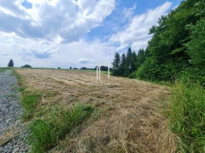 WIDOKOWA DZIAŁKA BUDOWLANA W SIEDLISKACH SŁAWĘCIŃSKICH GM SKOŁYSZY 27ar - Siedliska Sławęcińskie  -
podkarpackie Zdjęcie nr 6