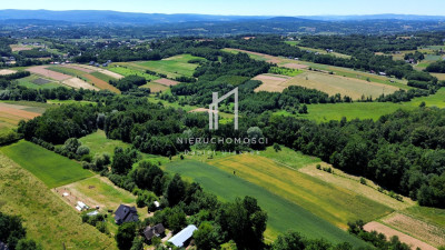 DUŻA DZIAŁKA ROLNA I LEŚNA W WIDOKOWEJ OKOLICY TRZCINICA 73AR - Trzcinica  -
podkarpackie Zdjęcie nr 10