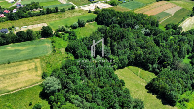 DUŻA DZIAŁKA ROLNA I LEŚNA W WIDOKOWEJ OKOLICY TRZCINICA 73AR - Trzcinica  -
podkarpackie Zdjęcie nr 11