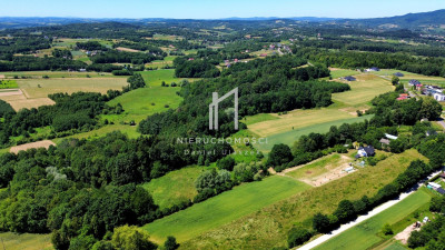 DUŻA DZIAŁKA ROLNA I LEŚNA W WIDOKOWEJ OKOLICY TRZCINICA 73AR - Trzcinica  -
podkarpackie Zdjęcie nr 6