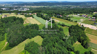 DUŻA DZIAŁKA ROLNA I LEŚNA W WIDOKOWEJ OKOLICY TRZCINICA 73AR - Trzcinica  -
podkarpackie Zdjęcie nr 8