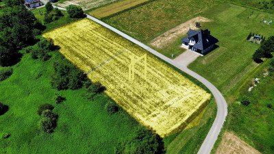 DWIE DZIAŁKI BUDOWLANE W TRZCINICY PO 17AR - Trzcinica  -
podkarpackie Zdjęcie nr 2