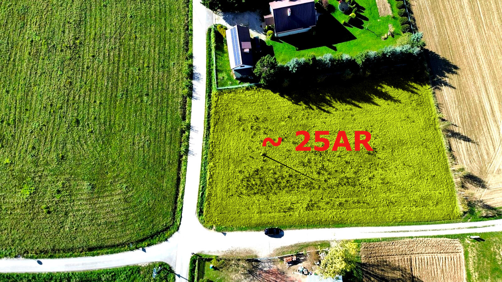 NOWA NIŻSZA CENA DZIAŁKA BUDOWLANA Z WZ SIEKLÓWKA GM KOŁACZYCE 25AR - Sieklówka  -
podkarpackie Zdjęcie nr 1