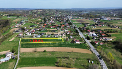 PARCELA BUDOWLANA W SKOŁYSZYNIE 50AR NISKA CENA - Skołyszyn  -
podkarpackie Zdjęcie nr 2