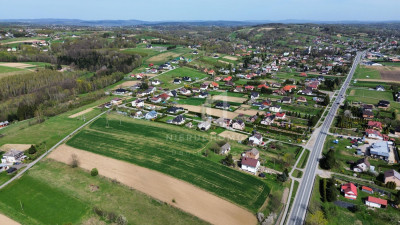 PARCELA BUDOWLANA W SKOŁYSZYNIE 50AR NISKA CENA - Skołyszyn  -
podkarpackie Zdjęcie nr 7